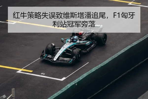 hong-niu-ce-lve-shi-wu-zhi-wei-si-ta-pan-zhui-wei-xiong-ya-li-zhan-guan-jun-pang-luo-3-676.jpg