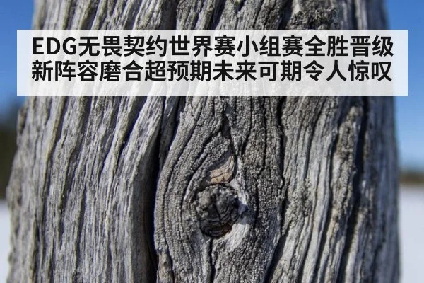EDG无畏契约世界赛小组赛全胜晋级新阵容磨合超预期未来可期令人惊叹